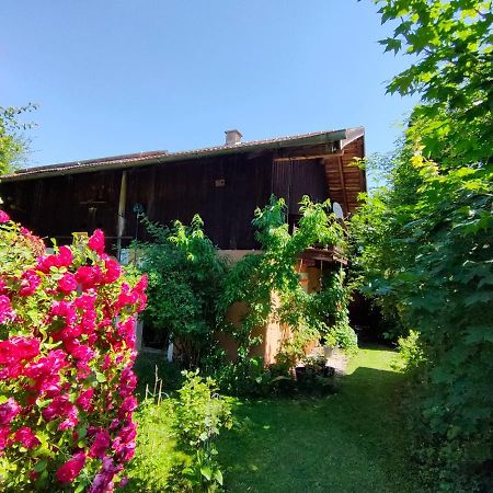 Gemuetliche Ferienwohnung Mit Kamin Und Garten 加爾米施-帕滕基興 外观 照片