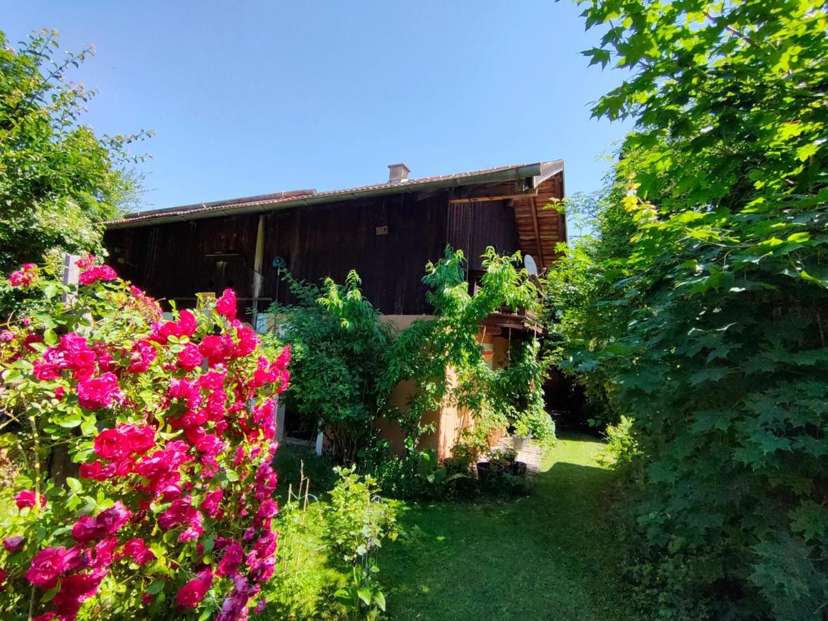 Gemuetliche Ferienwohnung Mit Kamin Und Garten 加爾米施-帕滕基興 外观 照片